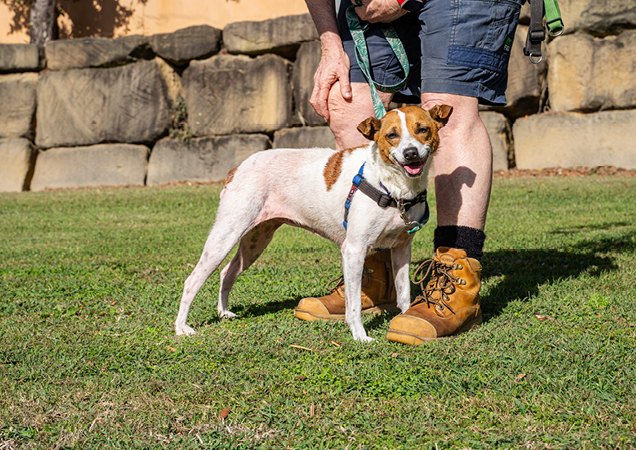 Squeak the dog.